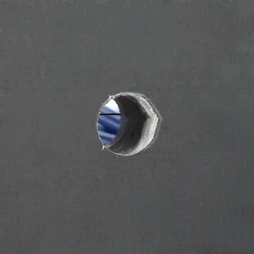Kvæg Børster Rød og blå 50 x 10 x 6,5 cm PP