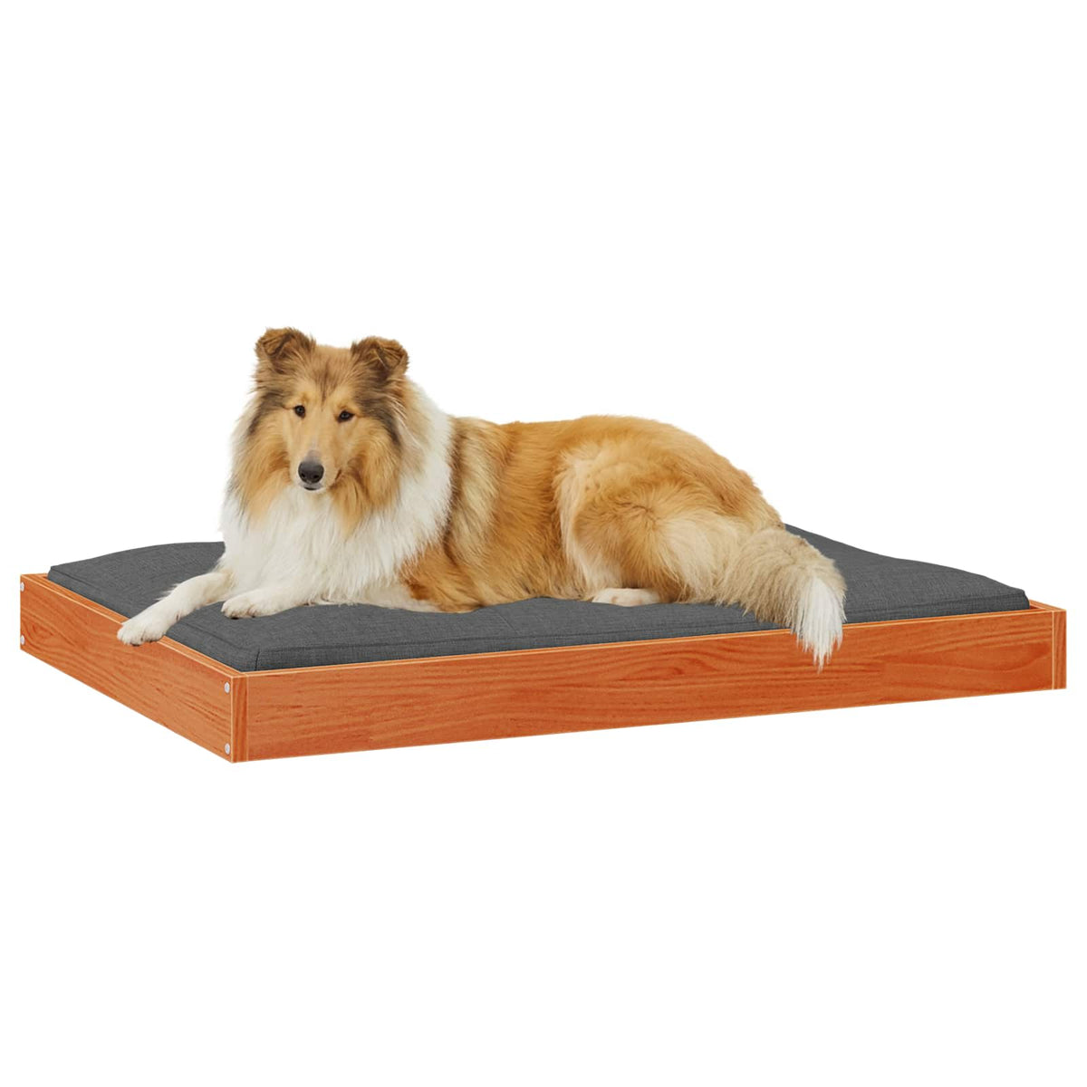Hundeseng 101,5 x 74 x 9 cm Massivt fyrretræ